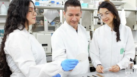 Desde la UdeA surge alternativa al plástico hecha con residuos de mango