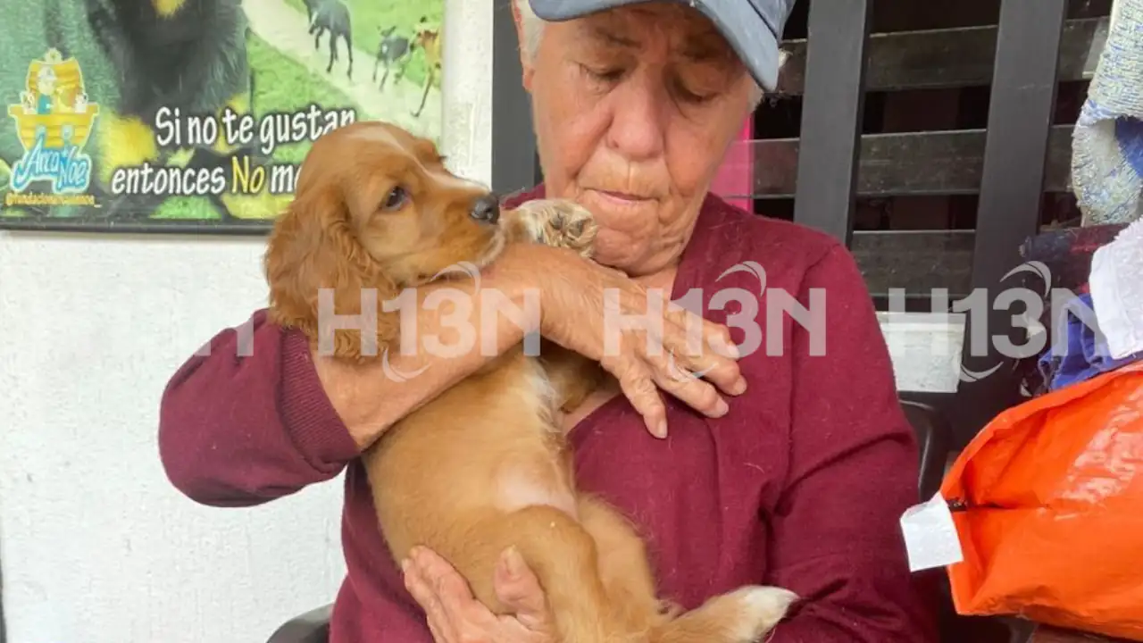 Nohelia dedicó su vida al rescate de animalitos en El Santuario y ahora le toca dejarlos partir uno por uno