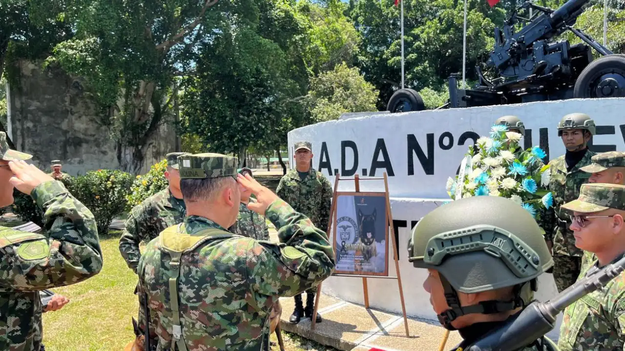 Homenaje a Sansón: el perrito héroe del Ejército que dio su vida por 36 soldados 4 Homenaje a Sansón: el perrito héroe del Ejército que dio su vida por 36 soldados