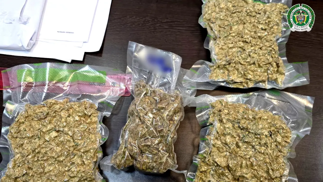 Perrito policía le descubrió a un turista cuatro paquetes de marihuana en un vuelo que iba a salir de Rionegro