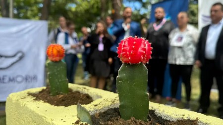 Cerca de 300 osarios serán instalados en Medellín para albergar cuerpos de personas dadas por desaparecidas