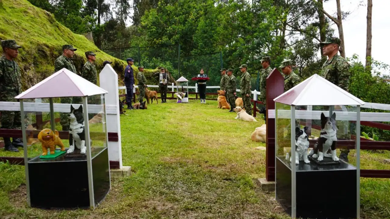 Homenaje a Sansón: el perrito héroe del Ejército que dio su vida por 36 soldados 3 Homenaje a Sansón: el perrito héroe del Ejército que dio su vida por 36 soldados