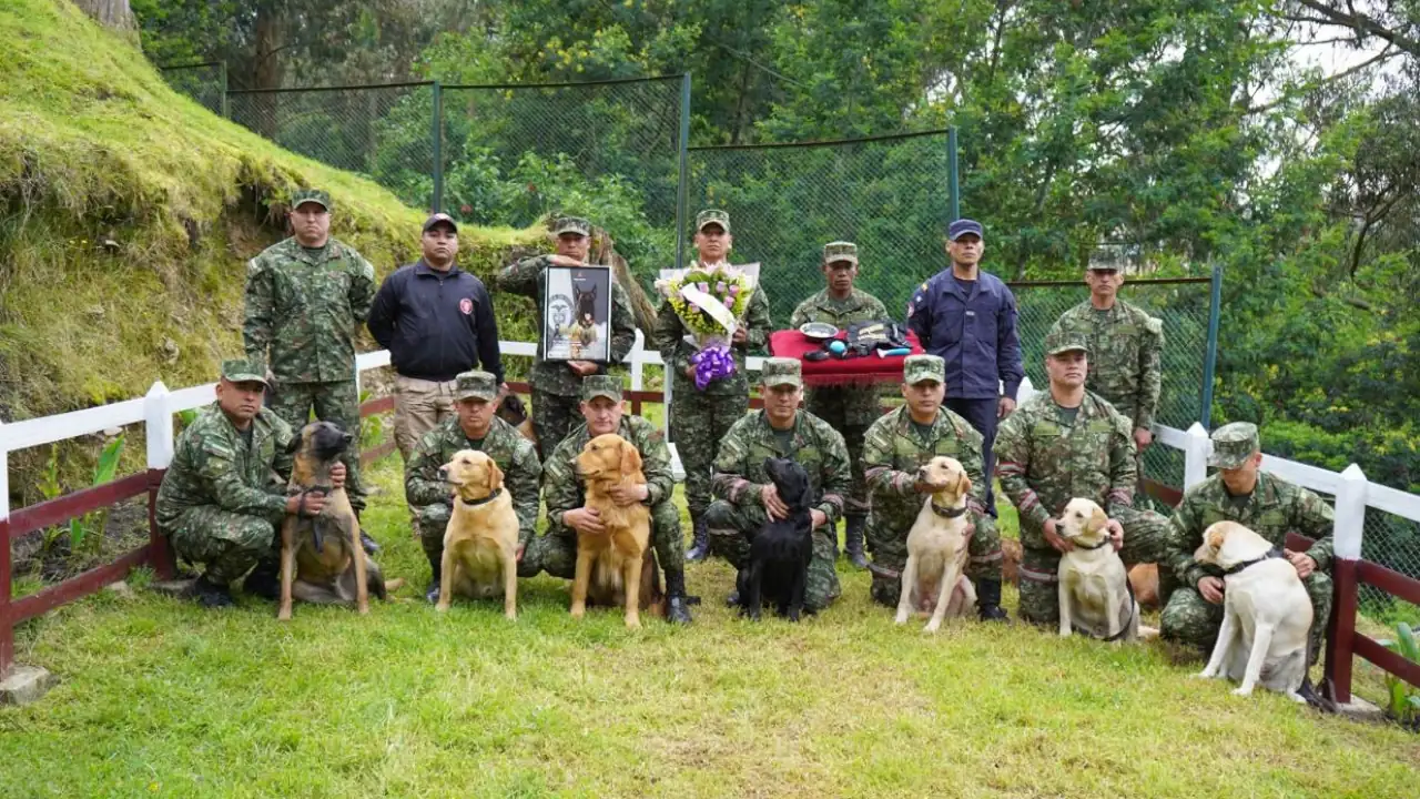 Homenaje a Sansón: el perrito héroe del Ejército que dio su vida por 36 soldados 2 Homenaje a Sansón: el perrito héroe del Ejército que dio su vida por 36 soldados