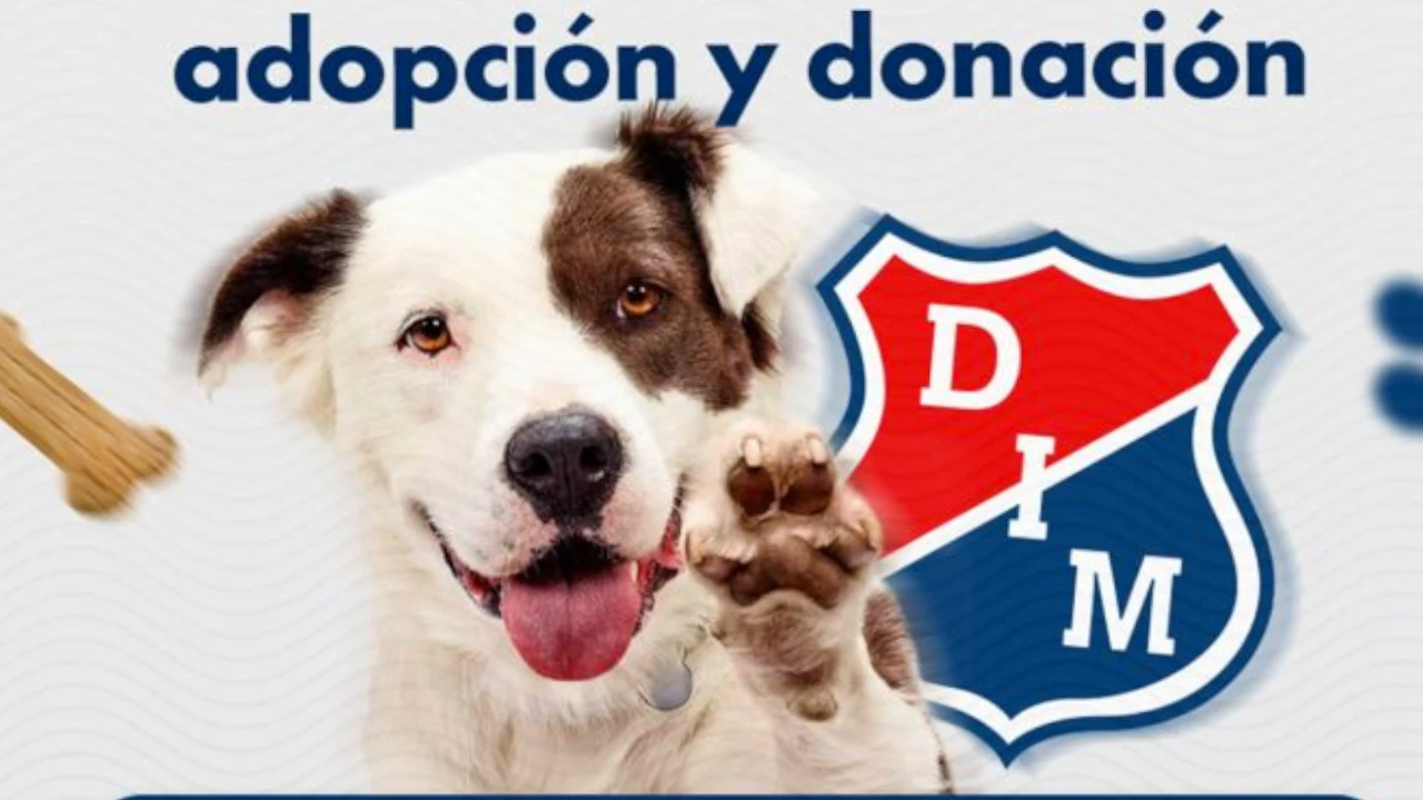 Adopción yDonaciónDIM