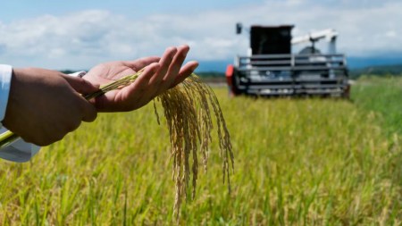 gremio-arroceros-paro-nacional-indefinido-este-14-de-julio-de-2025