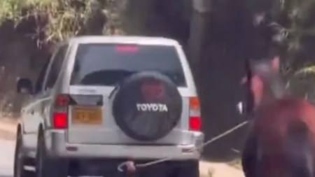 Video. ¡Qué rabia! Caballo fue arrastrado por un carro en movimiento entre El Peñol y Guatapé CABALLOMALTRATO