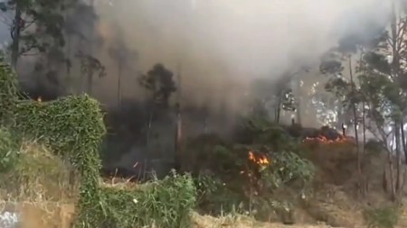 Incendio de cobertura vegetal en Las Granjas se suma a los 44 registrados en Medellín durante 2025 Incendio de cobertura vegetal en Las Granjas se suma a los 44 registrados en Medellín durante 2025