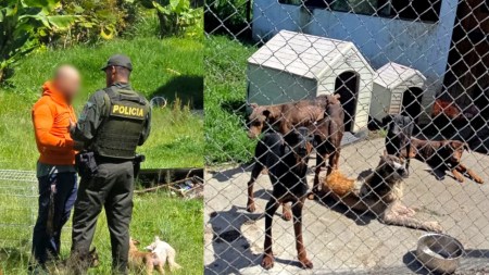 MaltratoSanVicenteDeFerrer