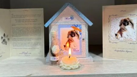 mascota-maxi-muere-viaje-en-bus-de Copetran-a-Medellín