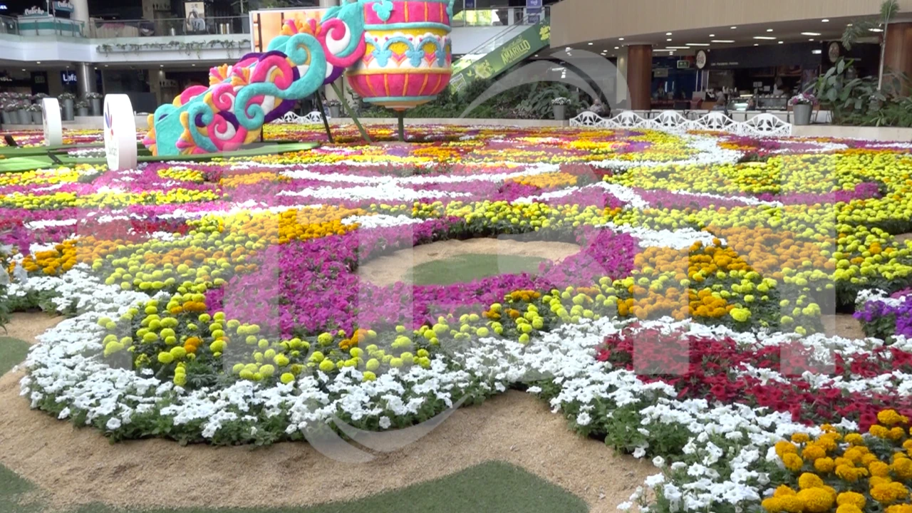 ¡Más de 200 mil flores! El Centro Comercial Santafé se luce con el Tapete de Flores más grande de Colombia SANTAFE3