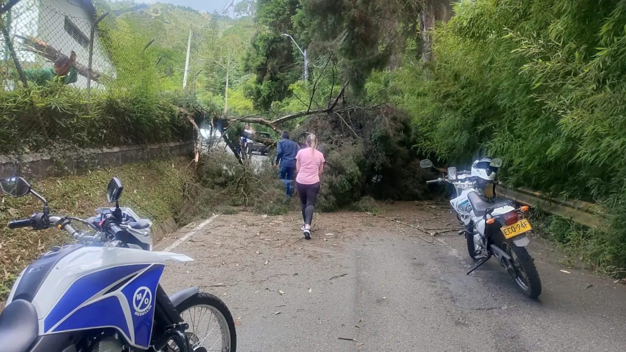 Ya se puede pasar por la Cola del Zorro tras caída de árbol que cerró la vía