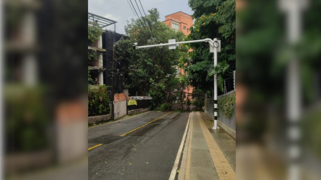 ¡Vuelve y juega! Se cayó un árbol en El Poblado por las fuertes lluvias árbol-caído