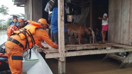 atencion-animales-tras-emergencias-reportadas-colombia
