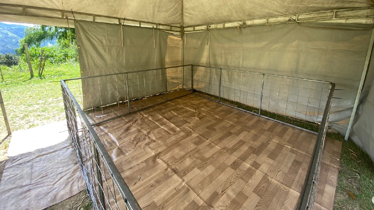 atencion-animales-tras-emergencias-reportadas-colombia2