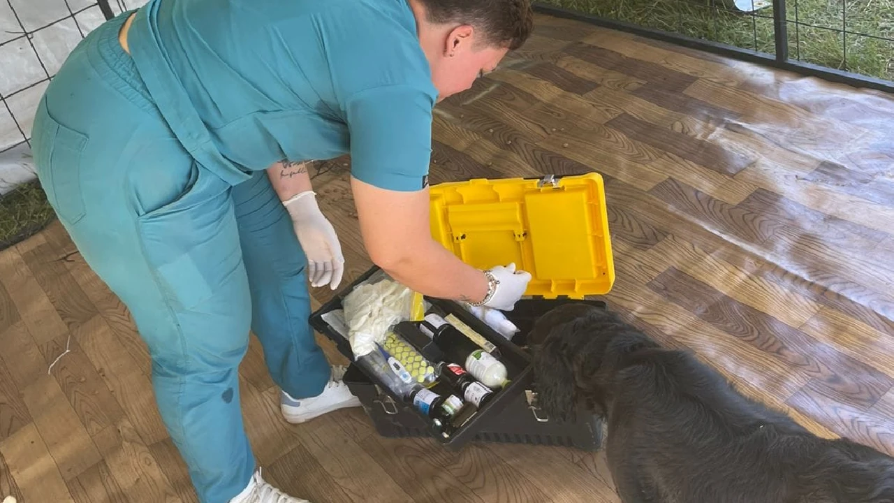 atencion-animales-tras-emergencias-reportadas-colombia3