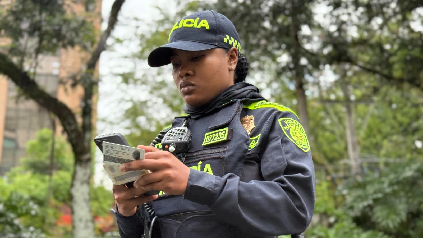 delitos de alto impacto 1