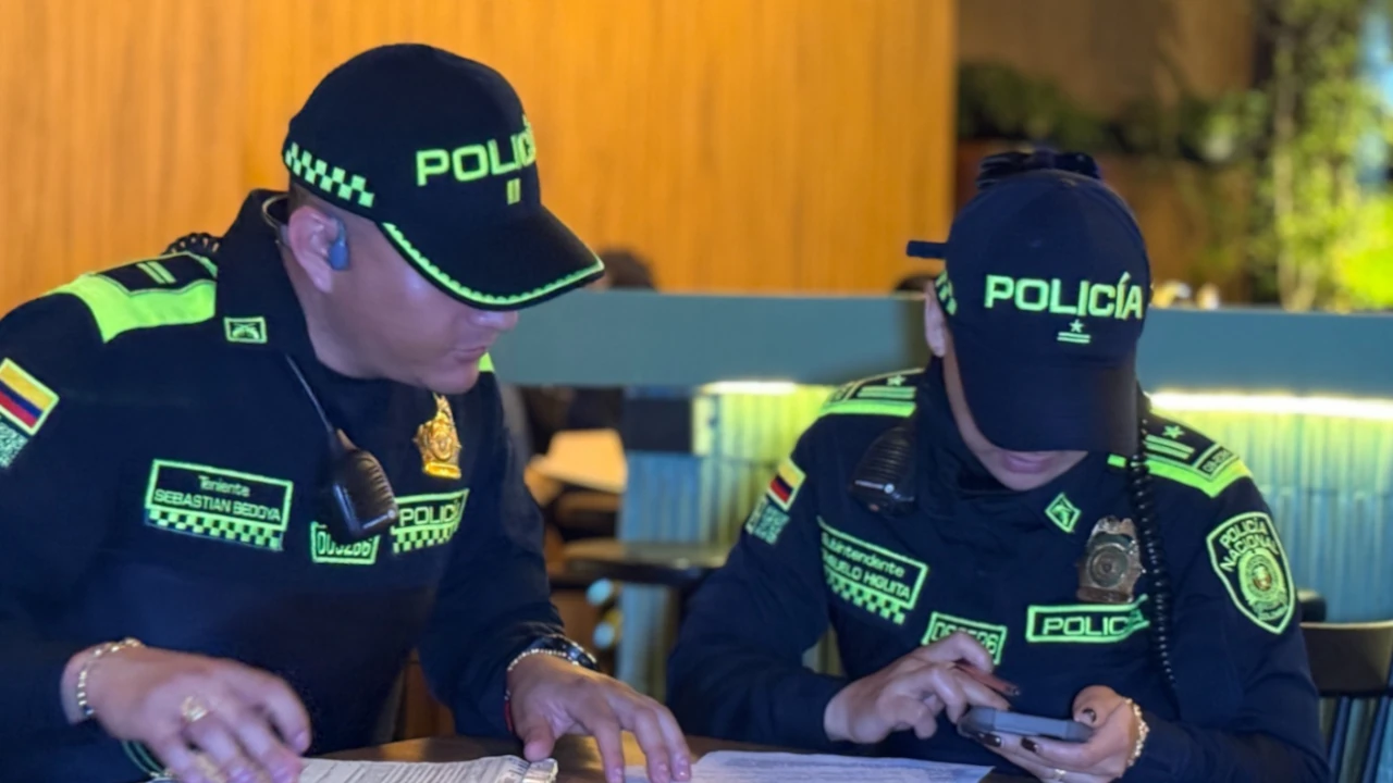 delitos de alto impacto