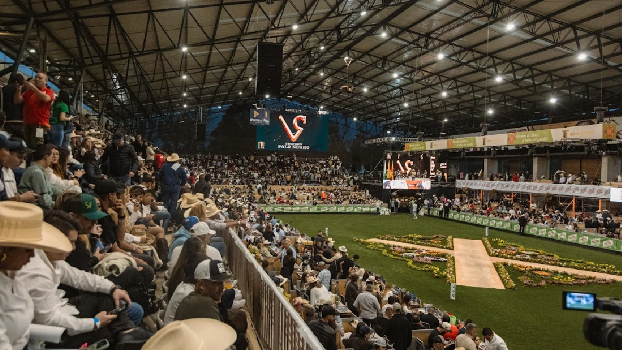 feria-expointernacional-equina-feria-flores-caballo-criollo-colombiano4