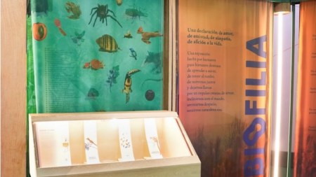 ¡Qué orgullo! Tres instituciones paisas le apuestan a cuidar la biodiversidad con BIOFILIA biofilia-biodiversidad-parque-explora