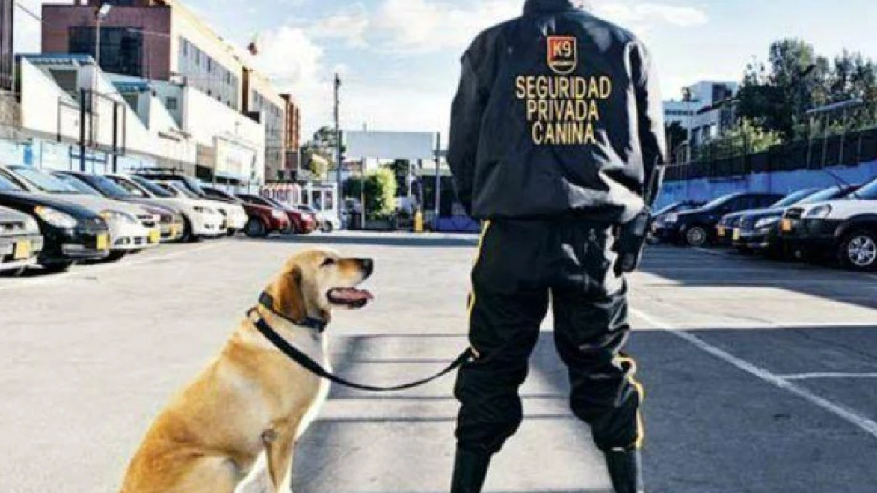 Armamento a cargo de la seguridad privada será vigilado por el Gobierno para prevenir mal uso de las armas 1 gobierno-vigilara-armamento-empresas-seguridad-privada