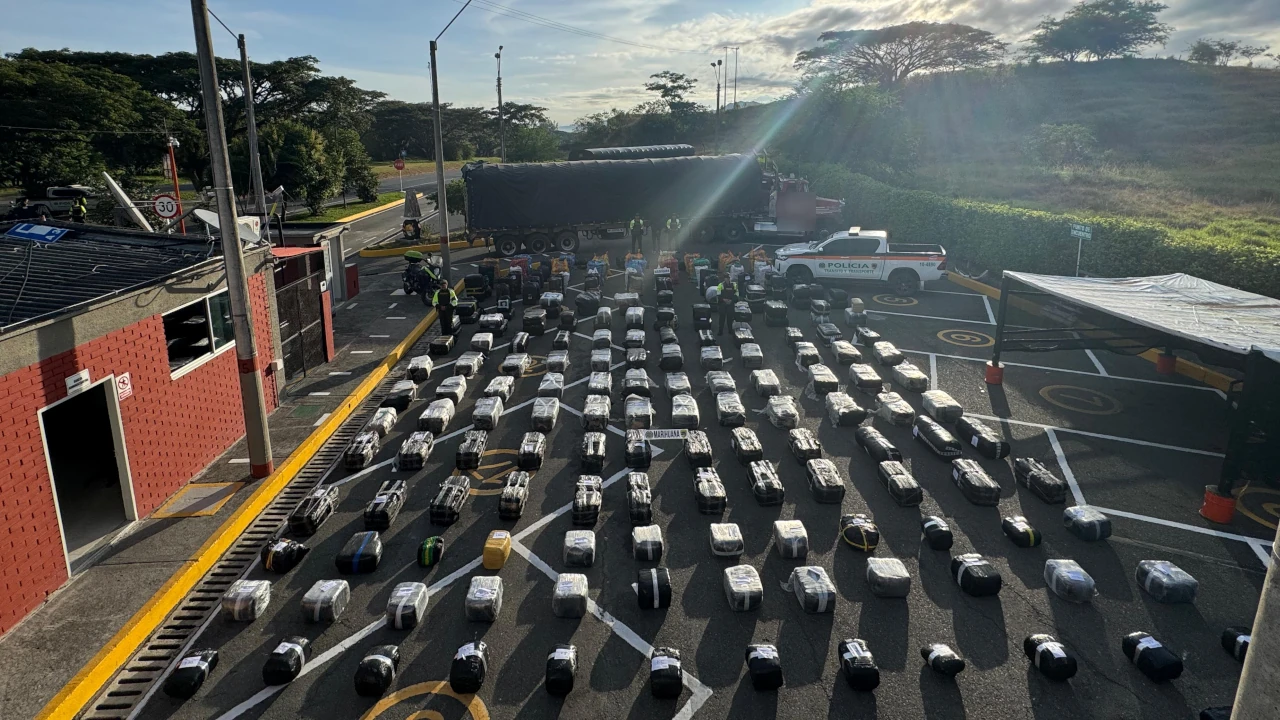 Incautan en el Valle 4.9 toneladas de marihuana que iba entre cebollas, al parecer venía para Medellín 2 incautan-toneladas-droga-valle-cauca-destino-medellin4
