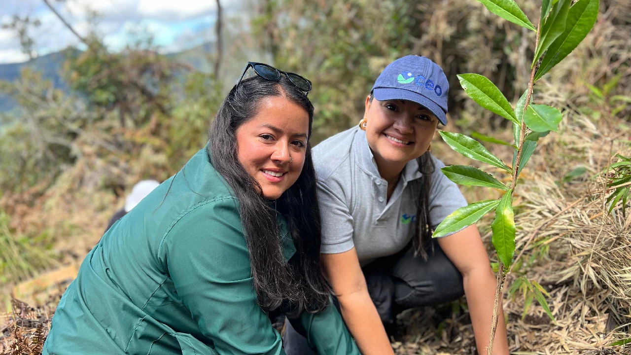 jornada-siembra-arboles-oriente-antioqueño-elretiro-empresas1