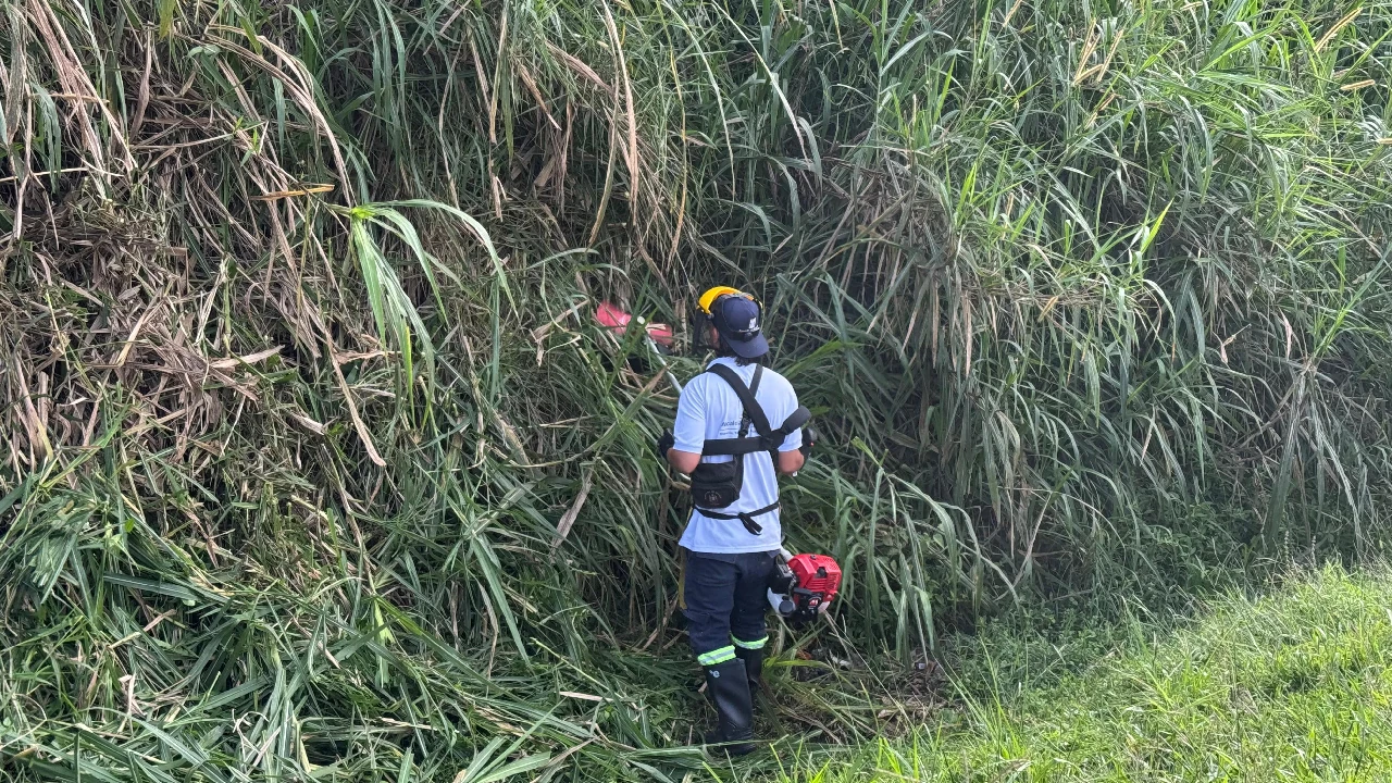 limpieza-tramos-laaurora-medellin-autoridades-comunidad