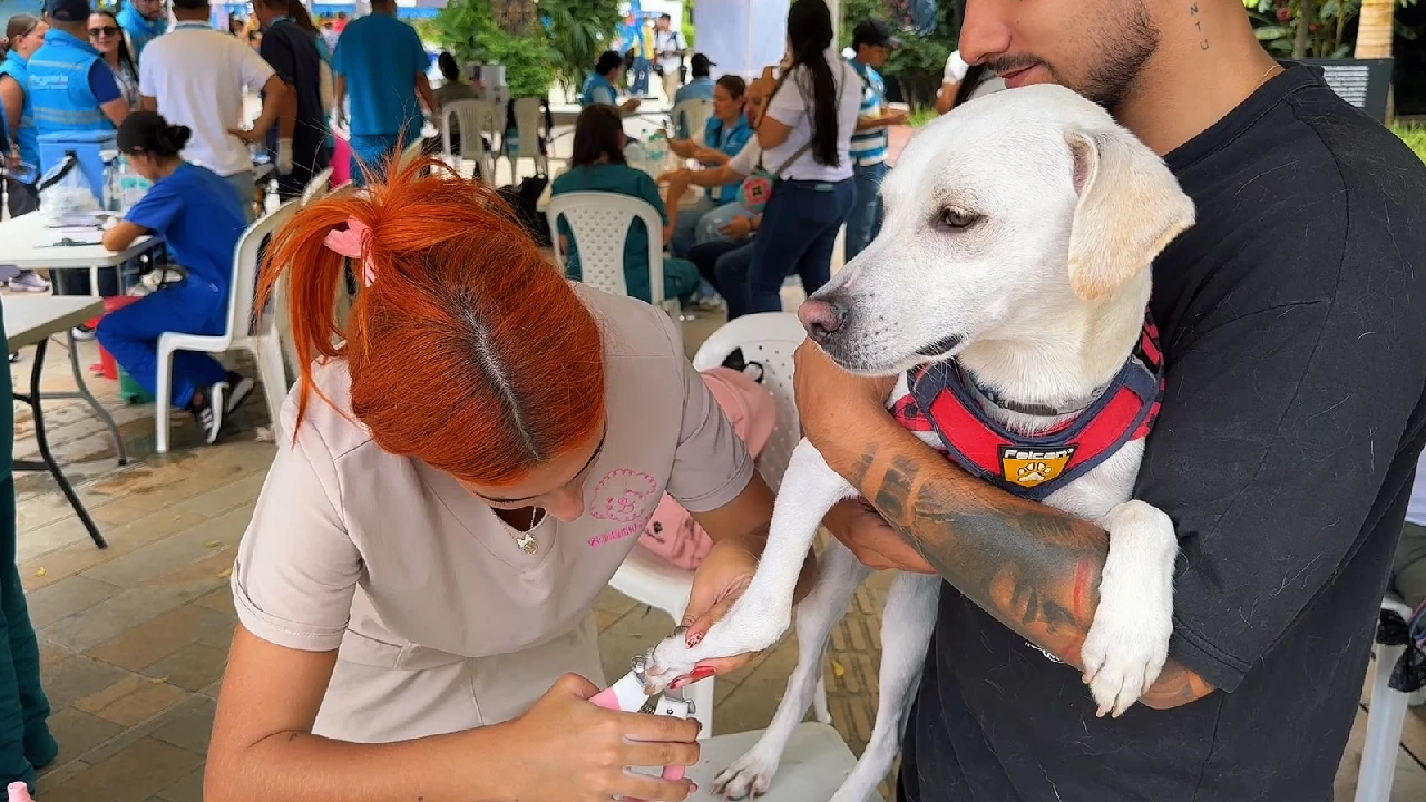 observatorio-seres-sintientes-personeria-medellin1