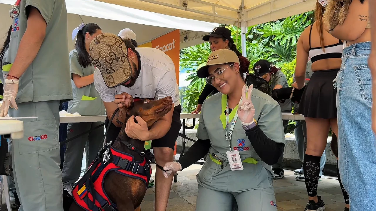 observatorio-seres-sintientes-personeria-medellin3