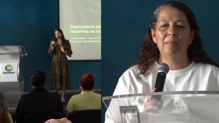 Abierta convocatoria para territorios: postule iniciativas en cuidado y sostenibilidad del medio ambiente tastiwebp