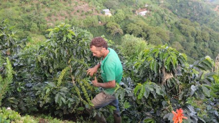 turbina-credito-antioquia-impulsa-crecimiento-agro3