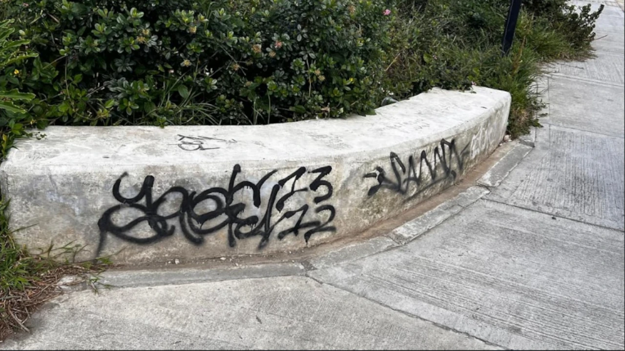 vandalizacion-obras-sin-entregar-la-ceja2