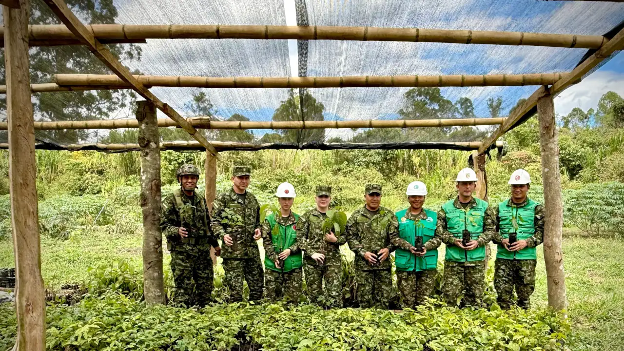 Ejército Nacional lidera siembra de más de 20.000 árboles en zonas afectadas por cultivos ilícitos Ejército Nacional lidera siembra de más de 20.000 árboles en zonas afectadas por cultivos ilícitos