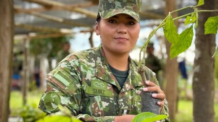 Ejército Nacional lidera siembra de más de 20.000 árboles en zonas afectadas por cultivos ilícitos