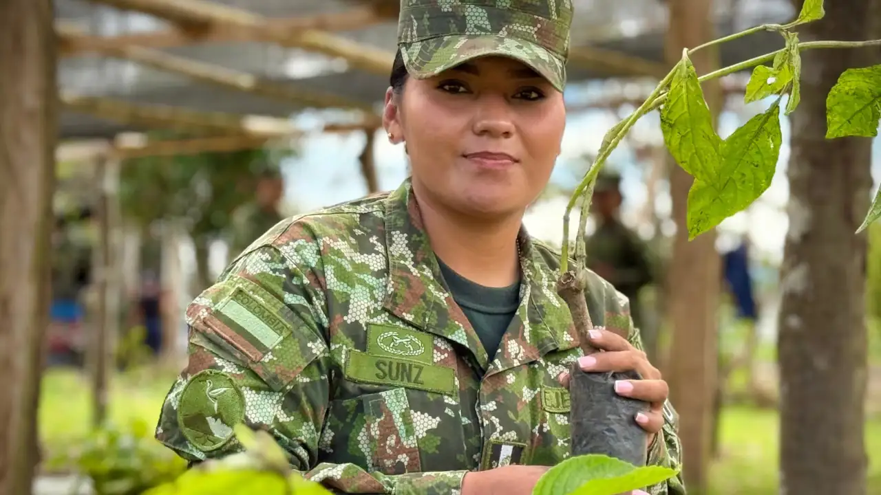 Ejército Nacional abre convocatoria para jóvenes con más de 15 mil cupos en todo el país 1 Ejército Nacional lidera siembra de más de 20.000 árboles en zonas afectadas por cultivos ilícitos