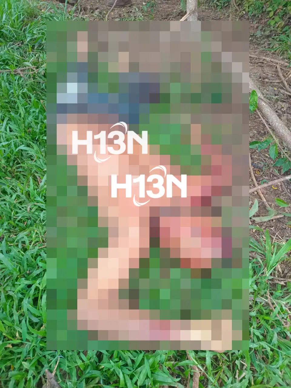 En Urabá, le habrían quitado la vida a hombre que asesinó a su exsuegra y a un menor que intentó protegerla
