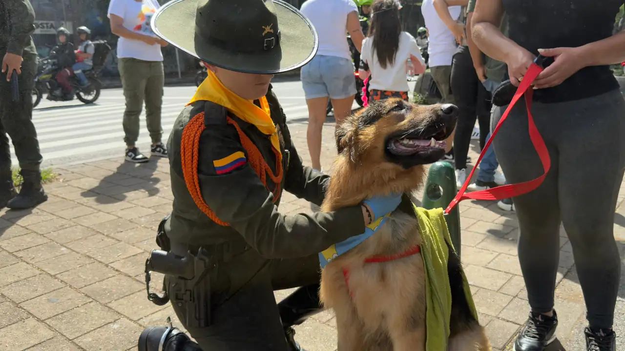 Miles de patitas recorrieron Medellín en la Caminata Canina de la Feria de las Flores
