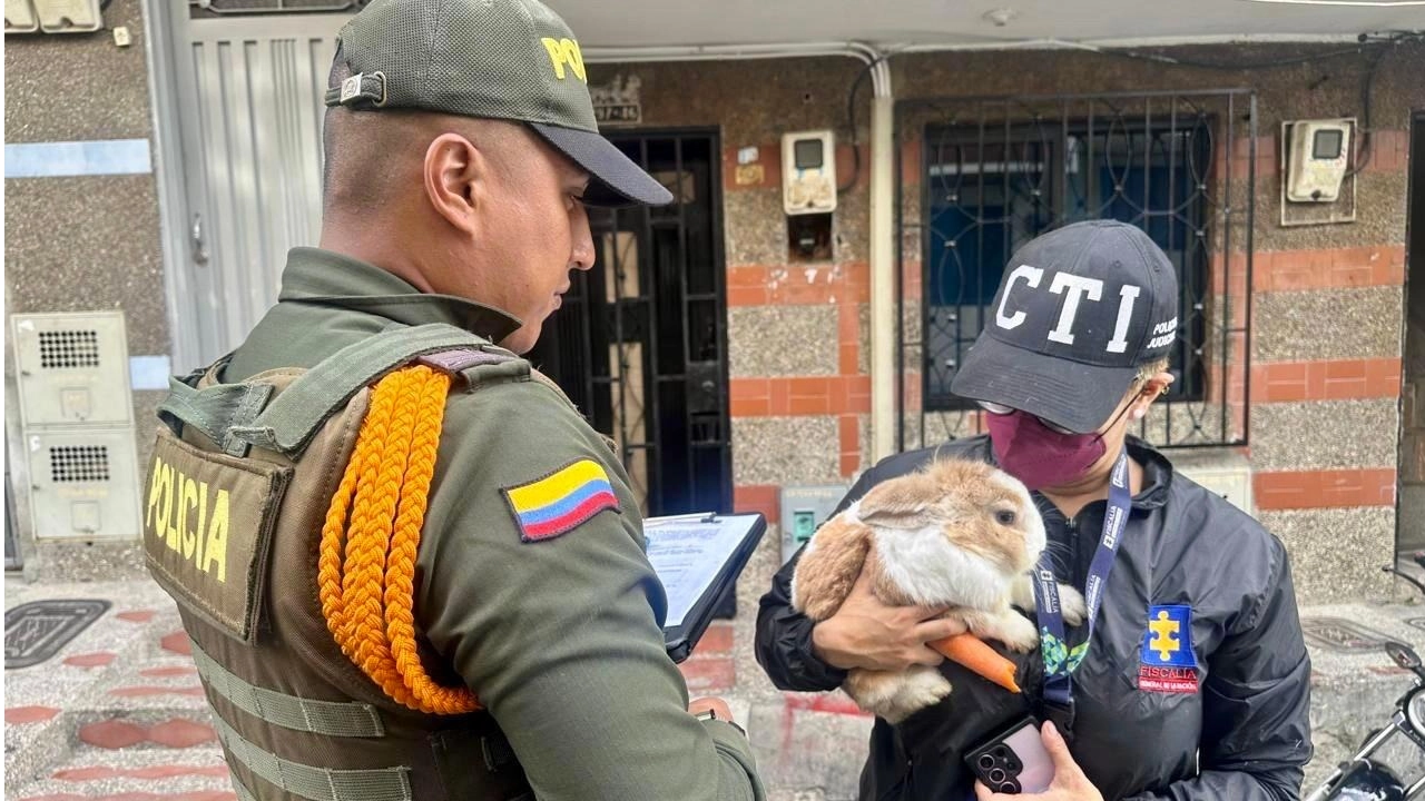 Autoridades capturan a un hombre por delito ambiental y rescatan dos animales