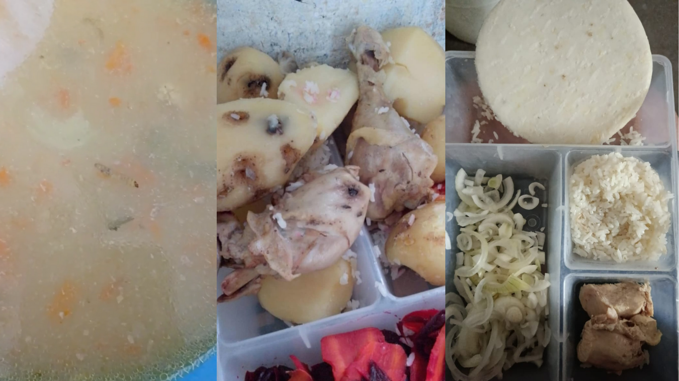 alimentacion-el-pedregal