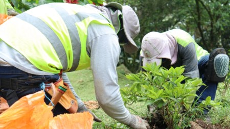 Medellín ‘gradúa’ su primer punto crítico de residuos sólidos en Manrique Jardinero