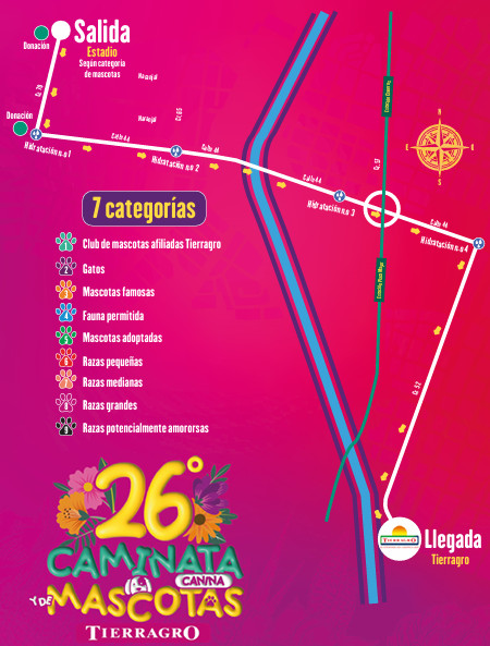 La Feria de las Flores tendrá huellitas felices recorriendo Medellín este 3 de agosto