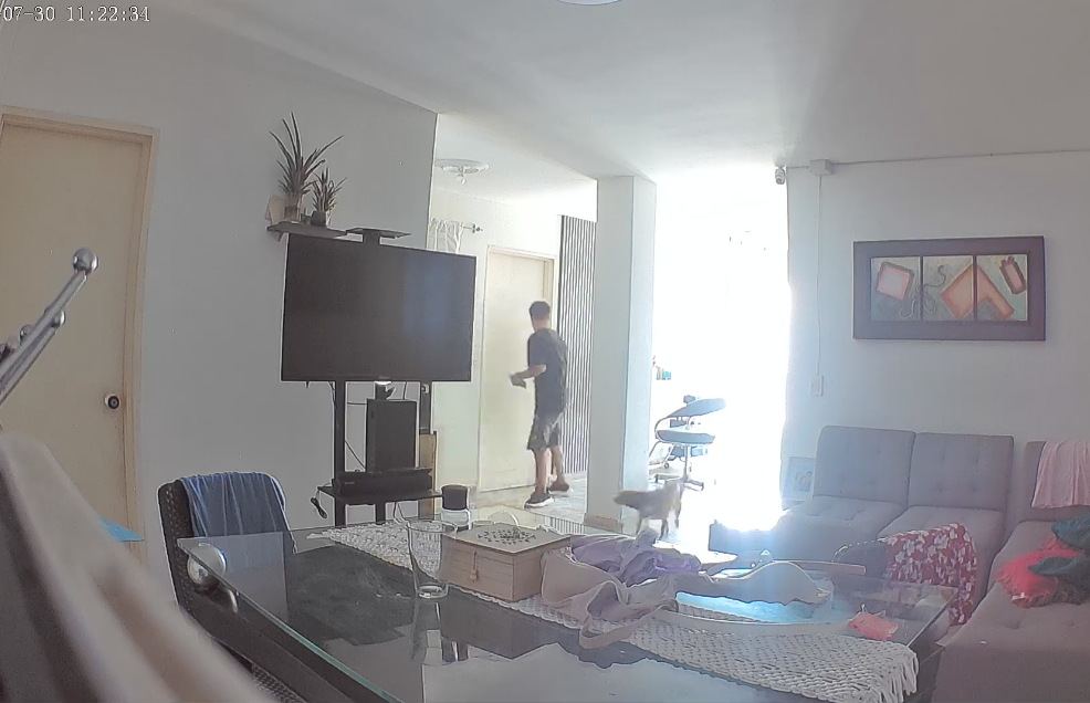 hurtos residencias