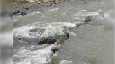 Hallan sin vida a un joven de 20 años en el río Tonusco: el cuerpo no tenía aparentes signos de violencia joven-río