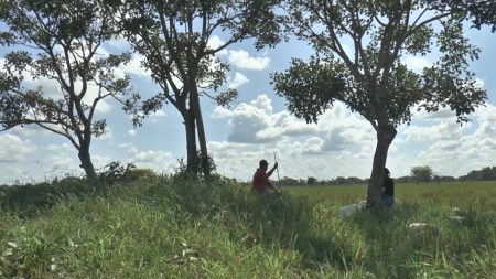 Más de un siglo tardaría restituir tierras a víctimas Más de un siglo tardaría restituir tierras a víctimas
