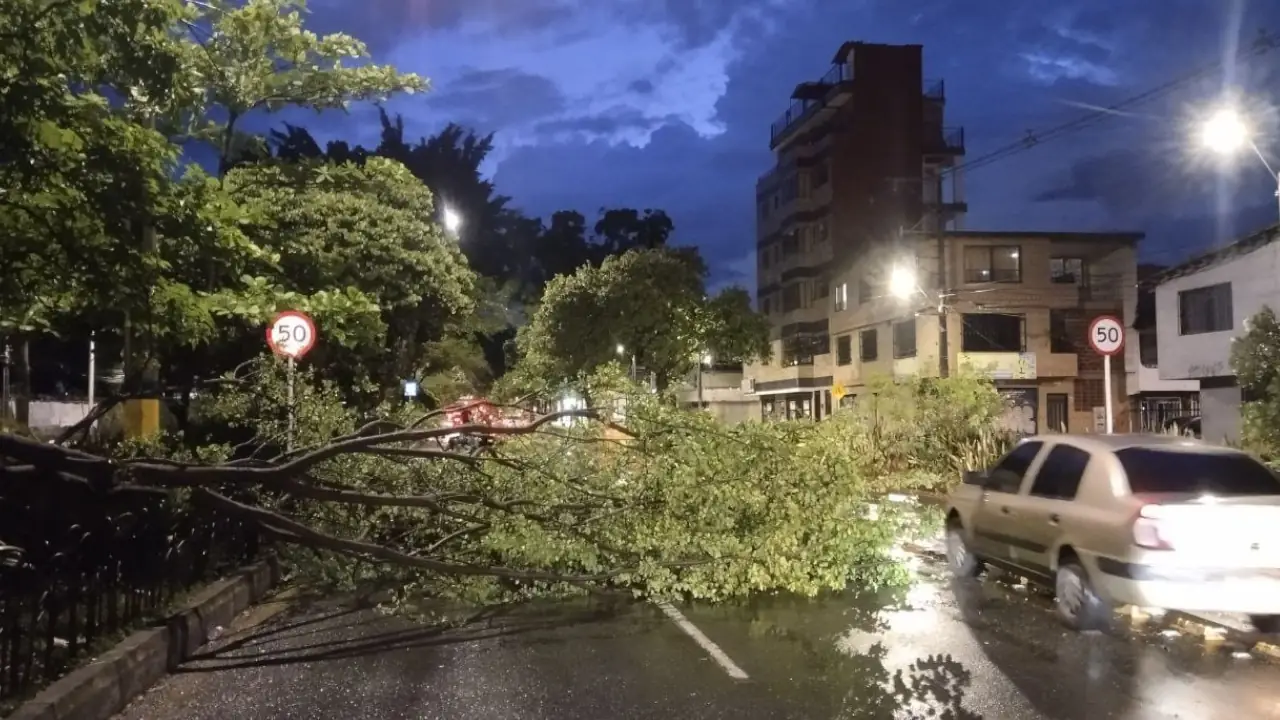 Lluvias en Medellín dejan árboles caídos e inundaciones en vías principales este 7 de septiembre