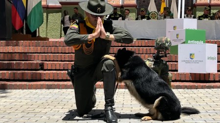 Más de 700 uniformados acompañarán la recolección de café en el departamento de Antioquia