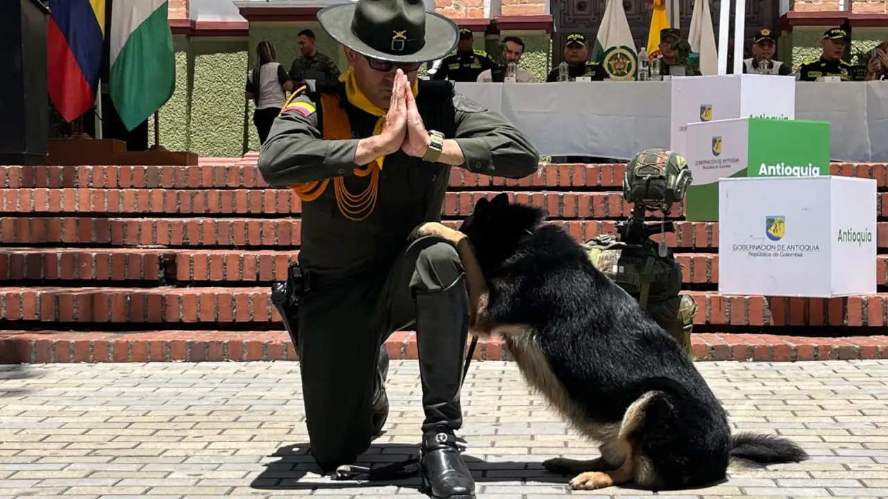 Más de 700 uniformados acompañarán la recolección de café en el departamento de Antioquia