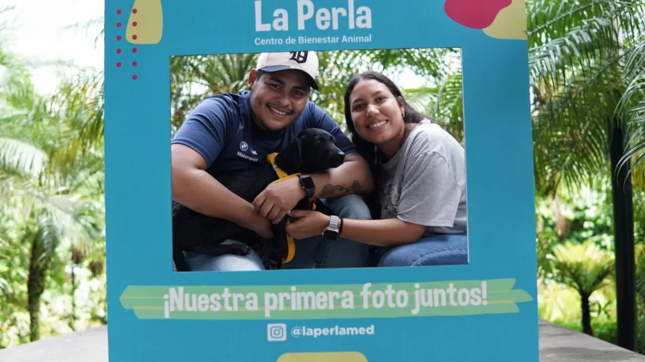 Medellín celebra jornada de adopciones: 49 perritos y gaticos encontraron un nuevo hogar 1 Medellín celebra jornada de adopciones: 49 perritos y gaticos encontraron un nuevo hogar