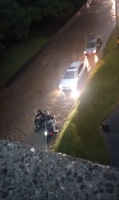 Lluvias en Medellín dejan árboles caídos e inundaciones en vías principales este 7 de septiembre