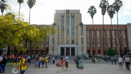 Vive la plaza 2025: La feria que busca resignificar la Plaza Botero desde el arte 3-